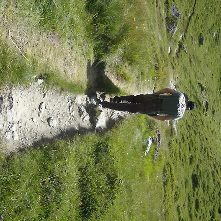 D'heidi