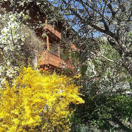 Chalet D'heidi *