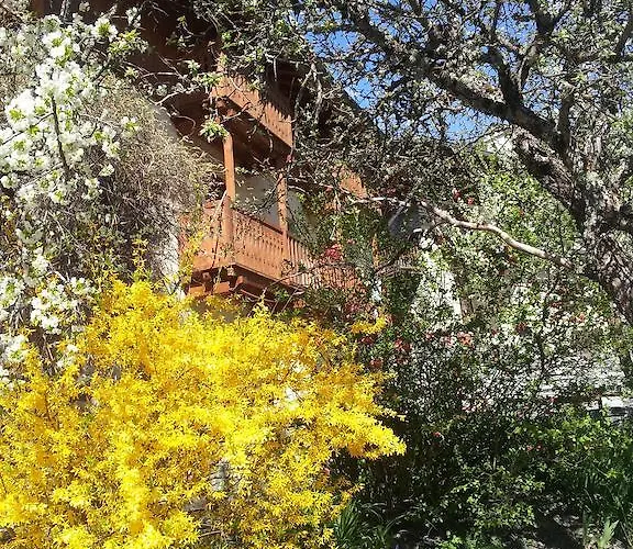 Chalet D'heïdi *